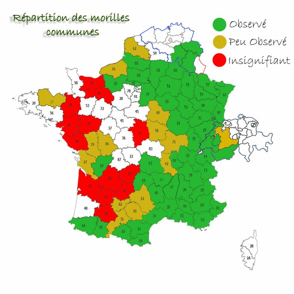 carte-france-belgique-suisse-communes Répartition de la morille commune