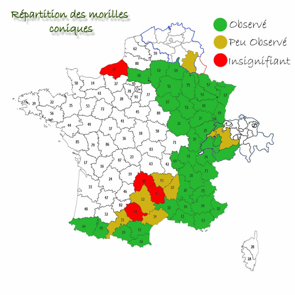 carte-france-belgique-suisse-coniques Répartition de la morille conique