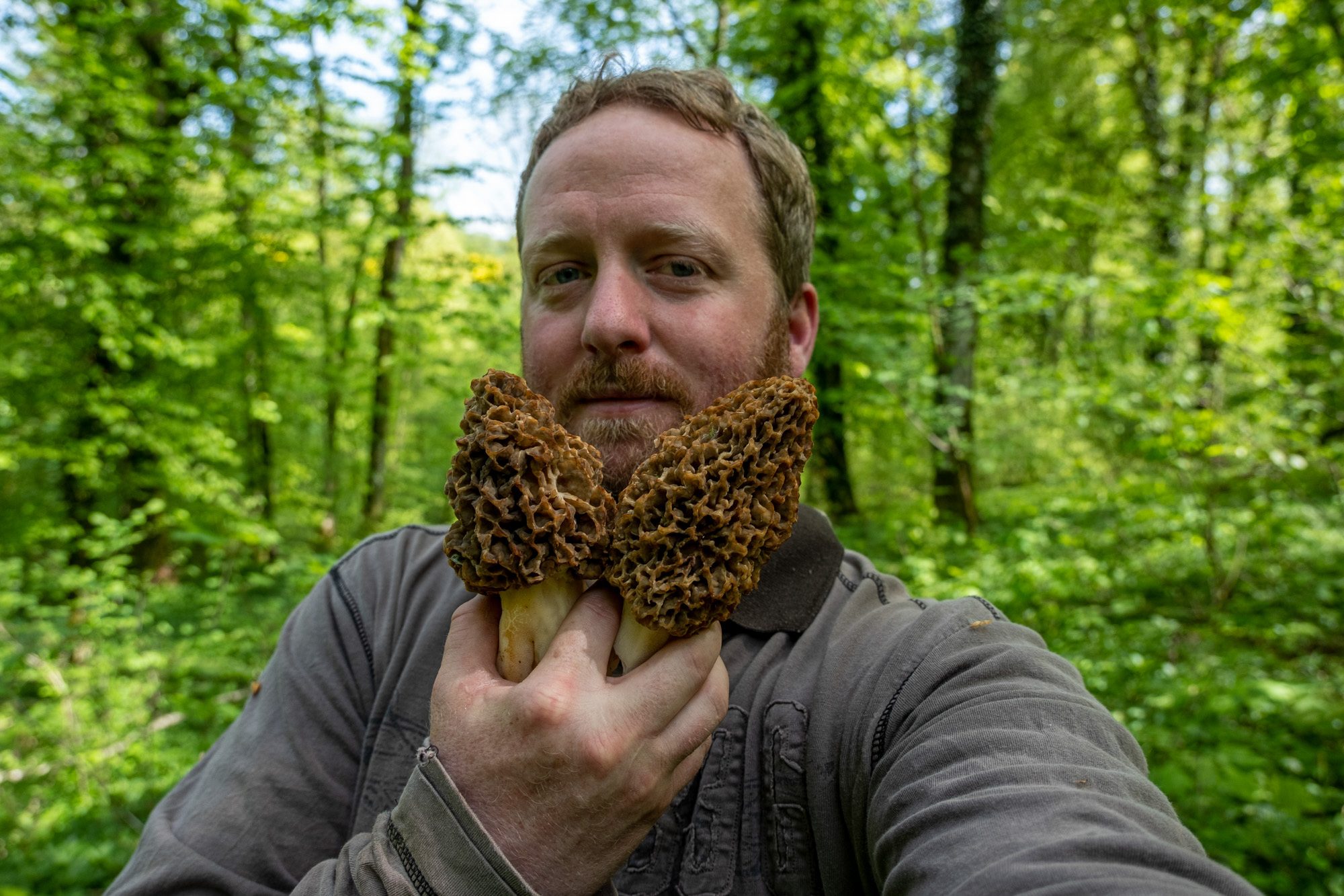 moi avec des morilles