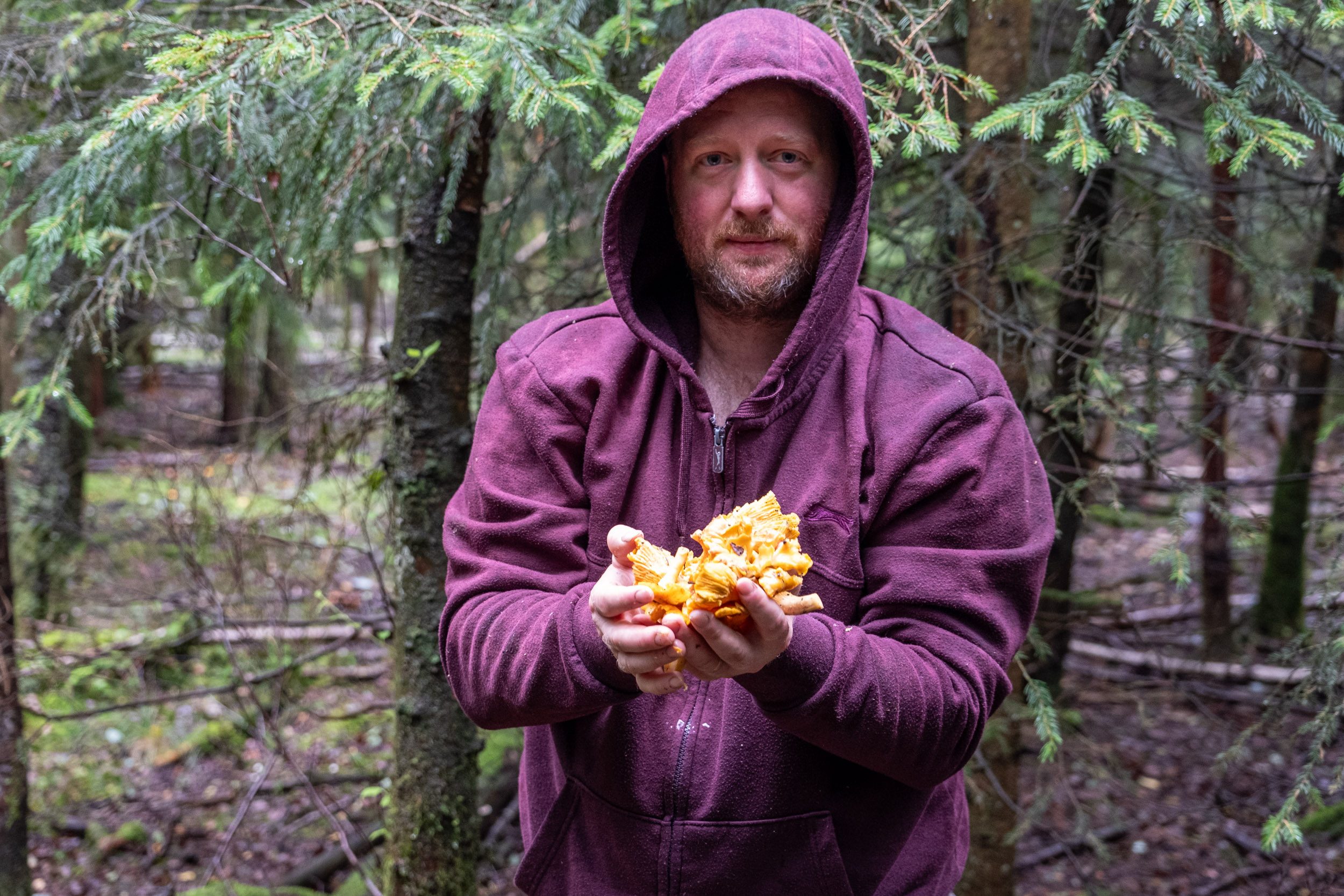moi avec des girolles