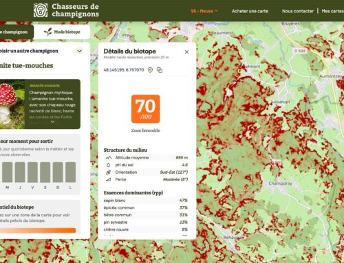 Avis Chasseurs de Champignons : les cartes fonctionnent-elles vraiment ?
